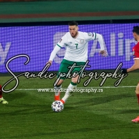 Serbia - Ireland (014)
